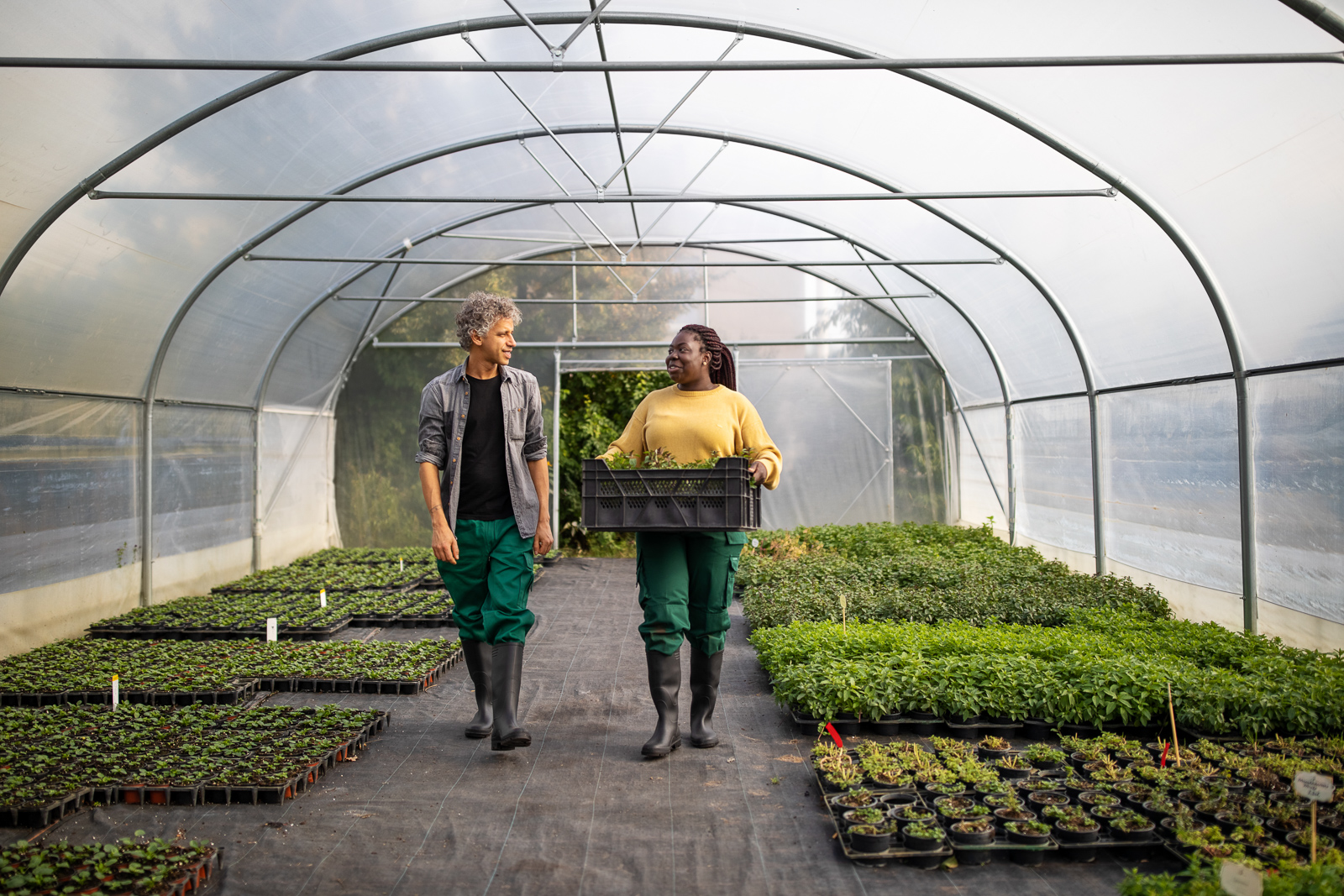 People walking through a greenhouse