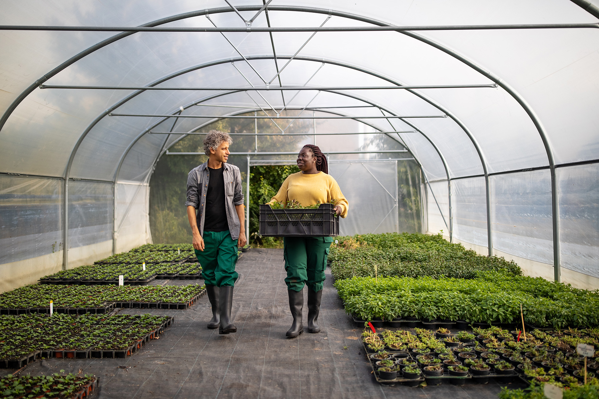 Plant store of the future